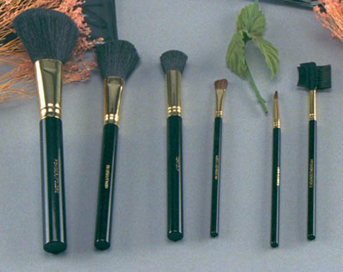 6 pc. Brush set Acrylic Handle